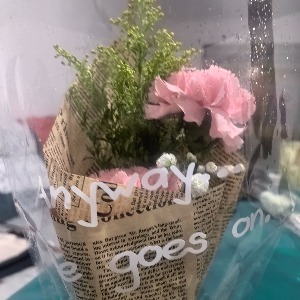 遵义市播州区彬之彬房屋信息咨询服务部